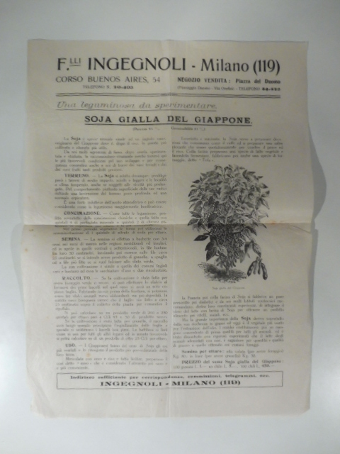 F.lli Ingegnoli, Milano. Una leguminosa da sperimentare. Soja gialla del Giappone. Foglio pubblicitario